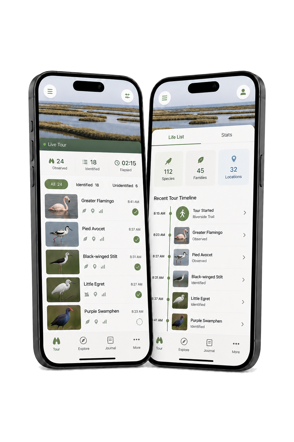 Two followbirds mobile app screens showing a live tour and life list