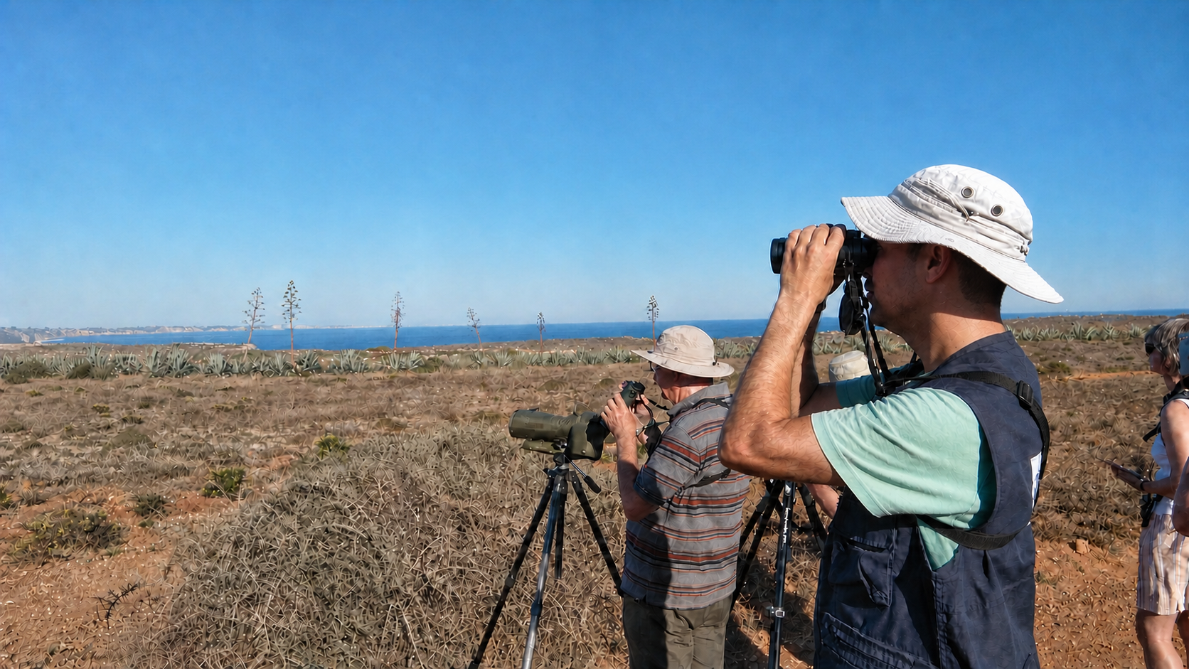 Birdwatchers using binoculars and spotting scopes on the Portuguese coast